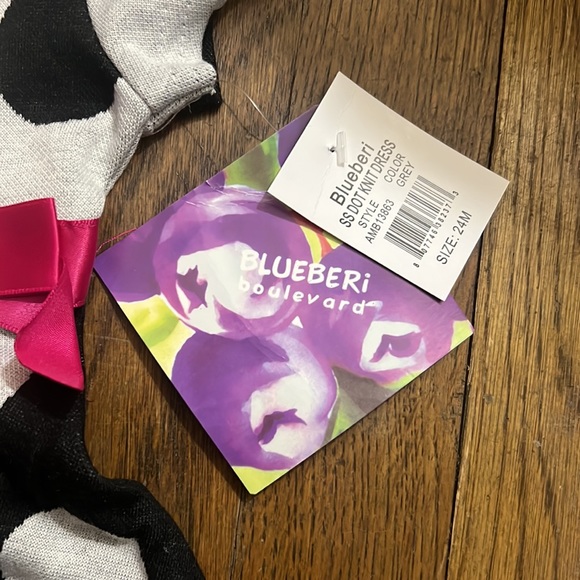 ▫️Blueberi Dress 24 Months NWT - Picture 3 of 5